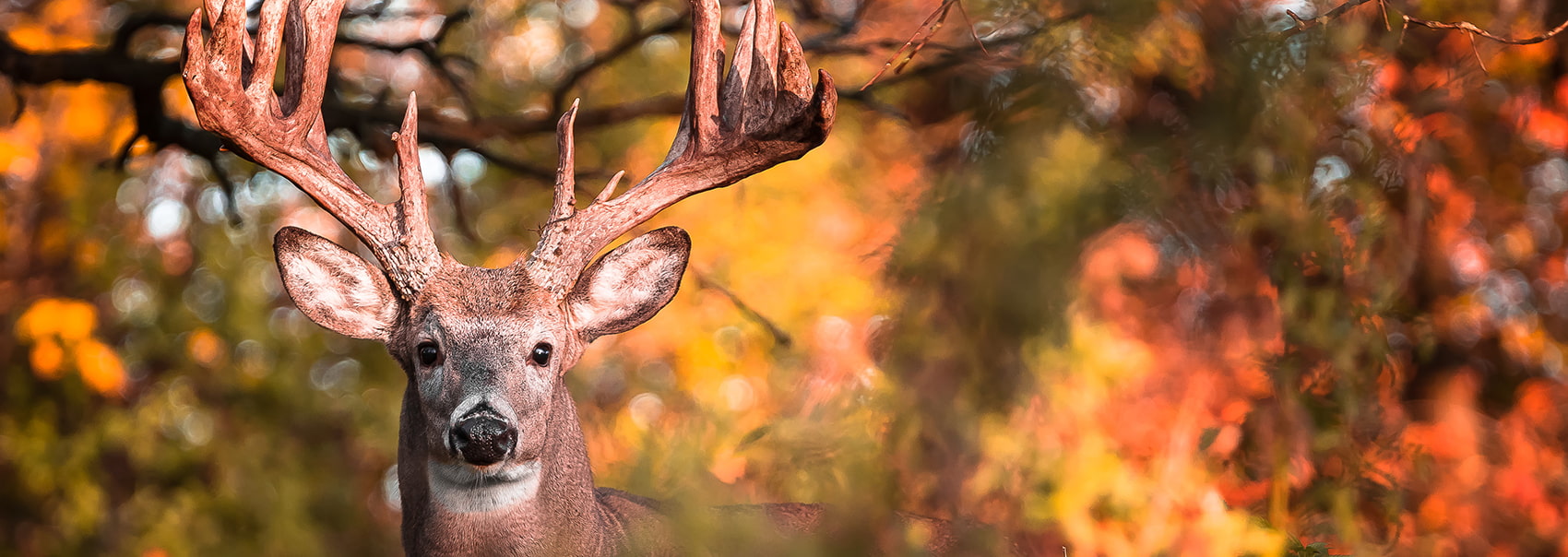 enrolling now can mean big bucks later enroll in the wisconsin deferred ...