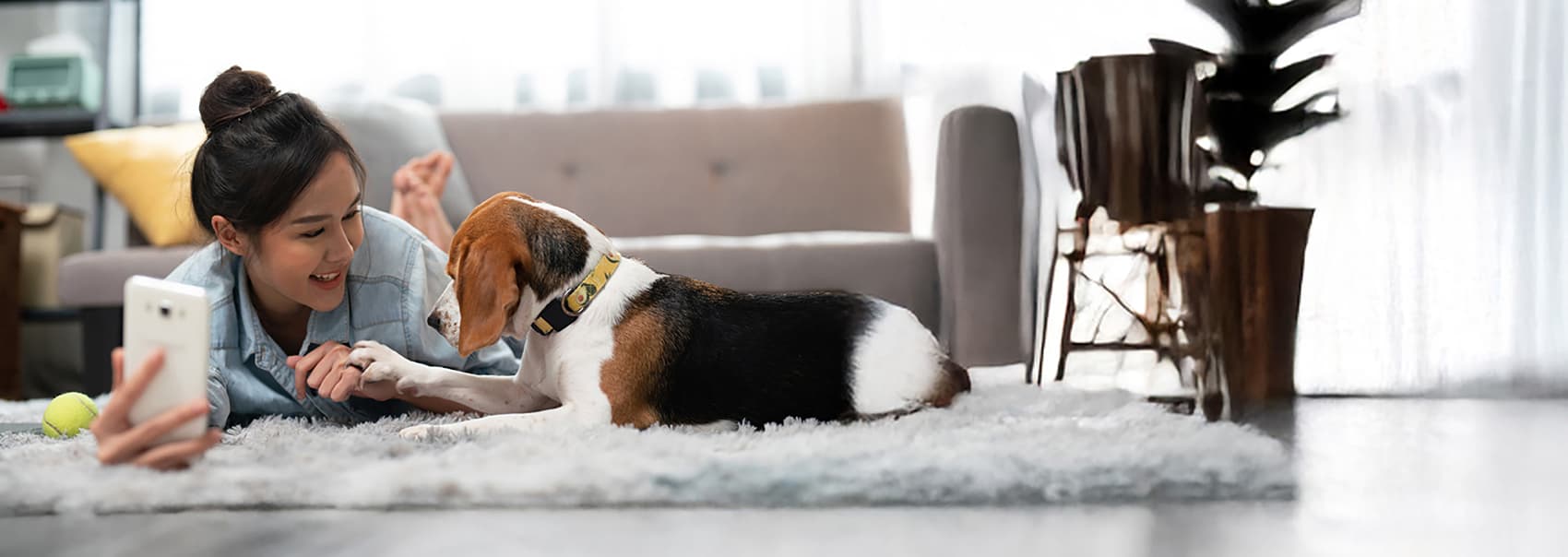 invest in yourself enroll in the wdc to start saving today click here ...